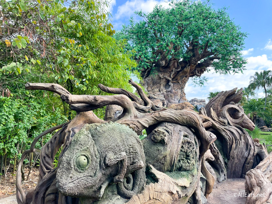 Hidden Animal Kingdom