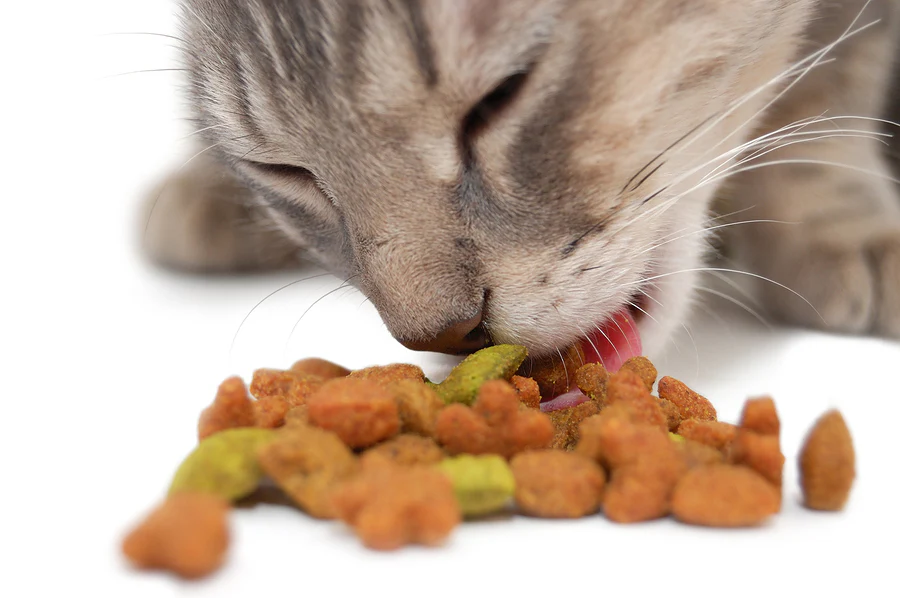 Food for Cats