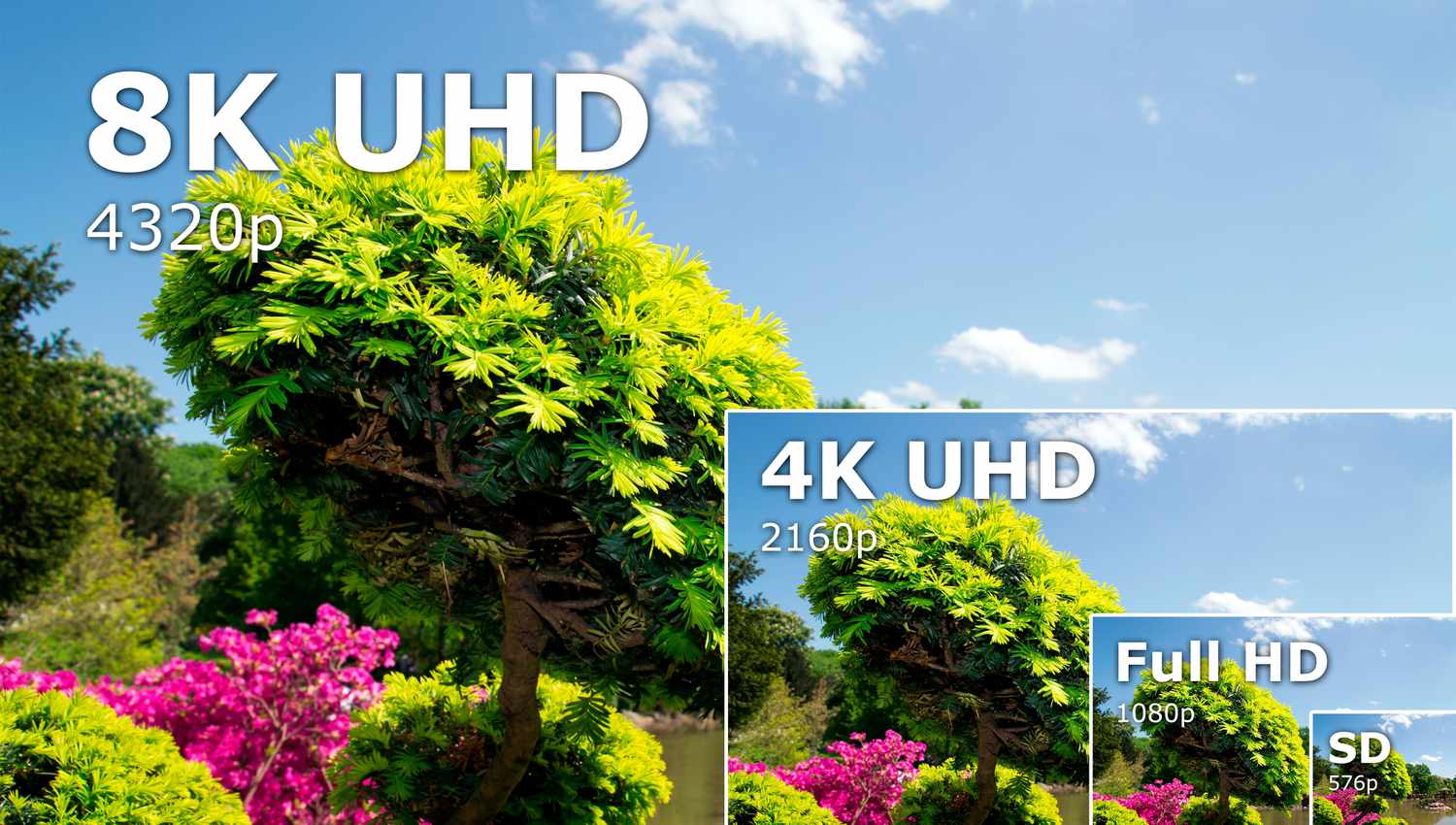 4K vs 8K TV