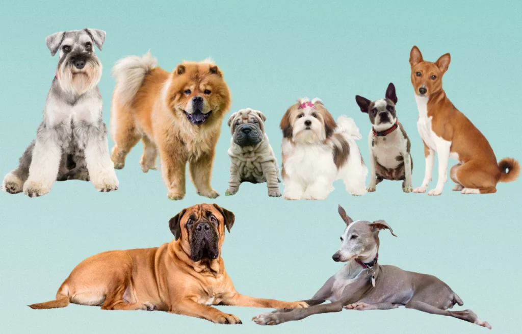 Best Dog Breeds for Families