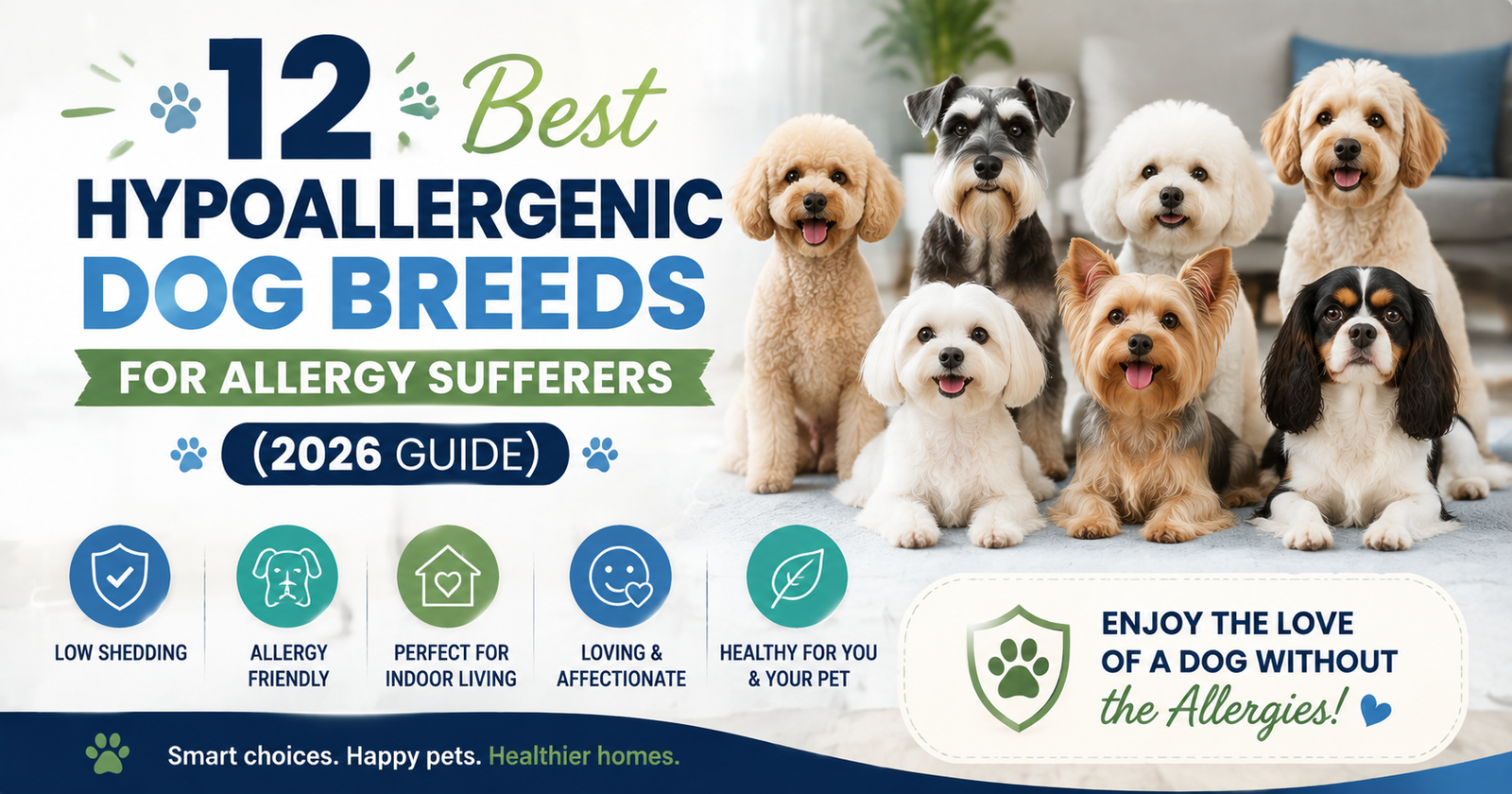Hypoallergenic Dog breed